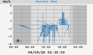 Wind Vector