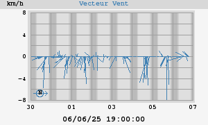 Wind Vector