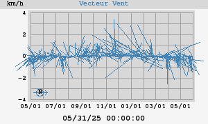 Wind Vector