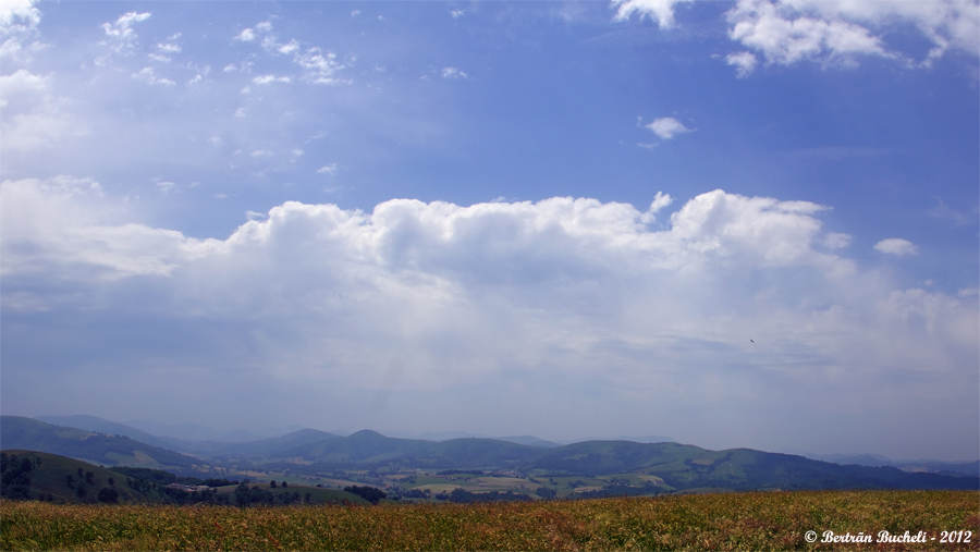 20120604190501-66e7d5ff.jpg