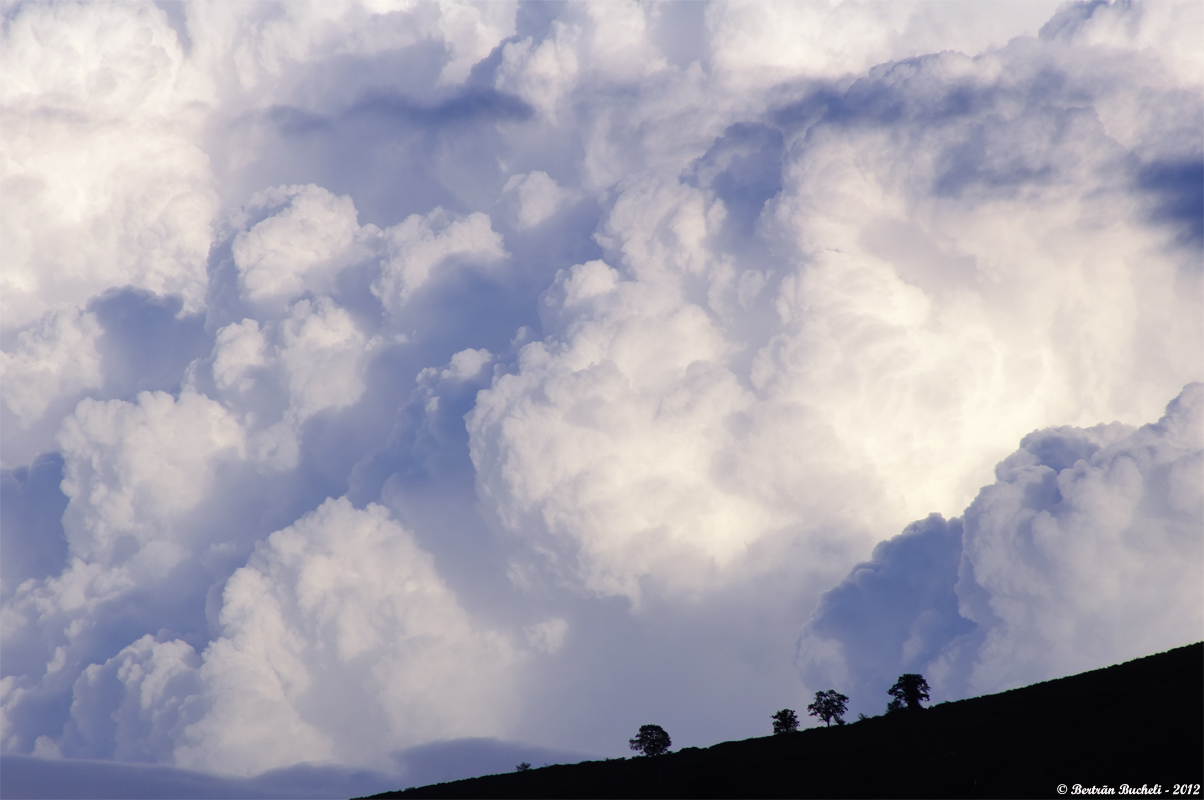 20121013151235-1b90c636.jpg