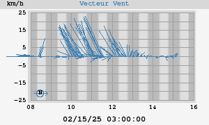 Wind Vector