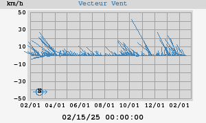Wind Vector
